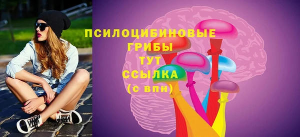 мескалин Заводоуковск