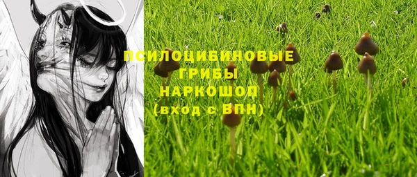 мескалин Заводоуковск